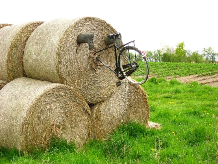 bicycle sculpture